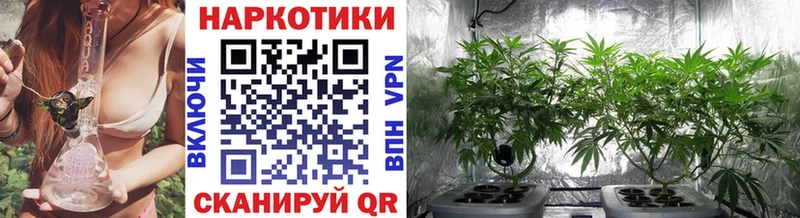 Как найти наркотики Спасск Codein КОКАИН ГАШ Меф мяу мяу МАРИХУАНА СОЛЬ Бутират