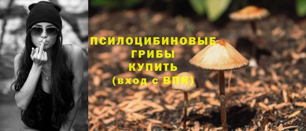 молекула духа Алзамай