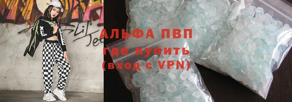 гидра Няндома