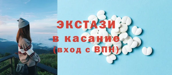 гидра Няндома