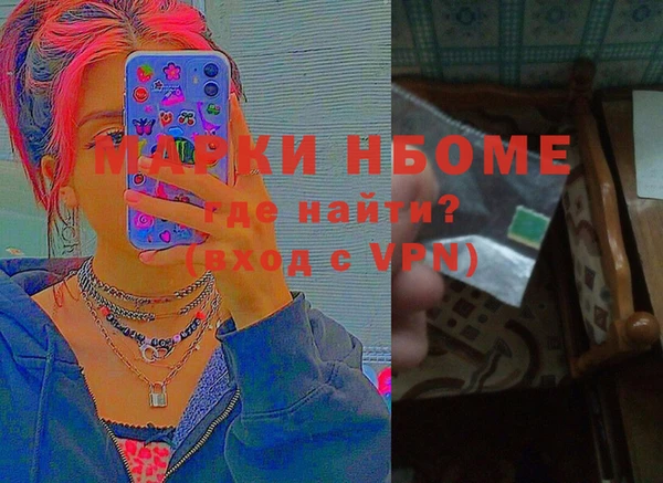 гидра Няндома