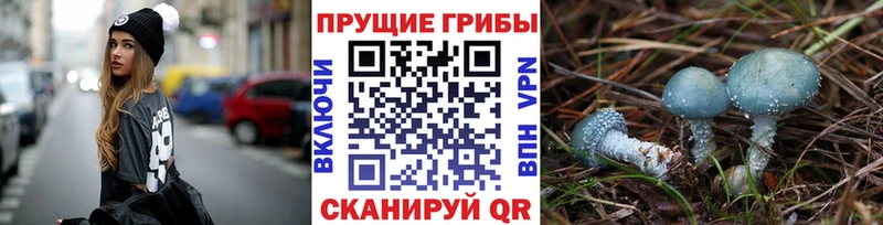 гидра зеркало  Спасск  Галлюциногенные грибы мухоморы 